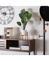 Pianta Decorativa Versa