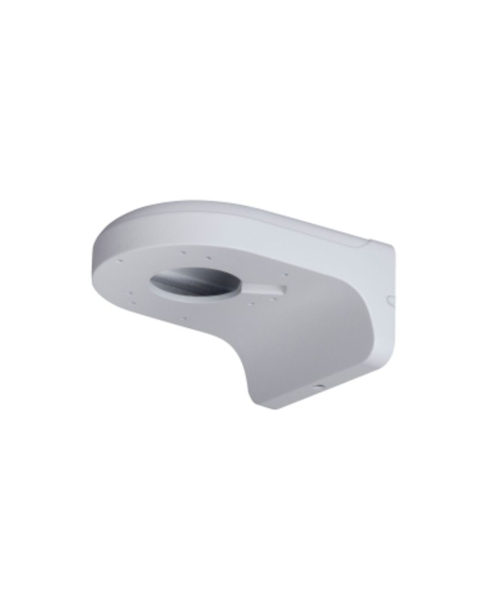 Videocamera di Sorveglianza Dahua PFB203W