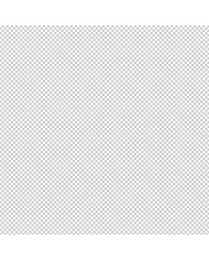 Etichette adesive Cricut 2010003