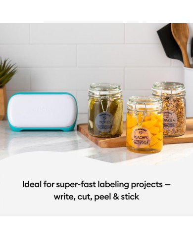 Etichette adesive Cricut 2010003