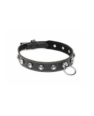 Collare per Bondage con Catena XR Collare per Bondage con Catena XR