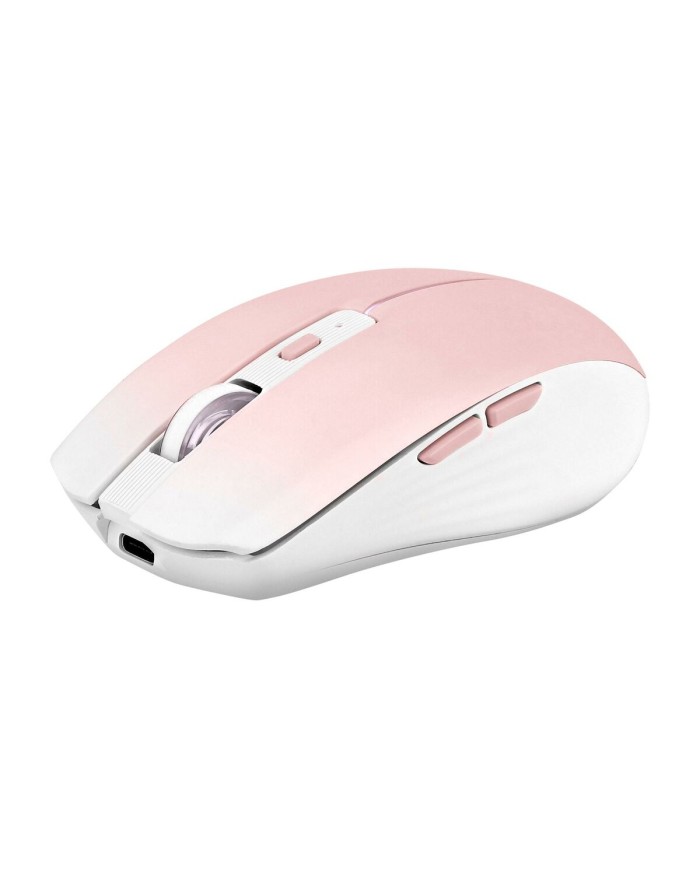 Mouse T'NB GRADIENT Rosa Mouse T'NB GRADIENT Rosa