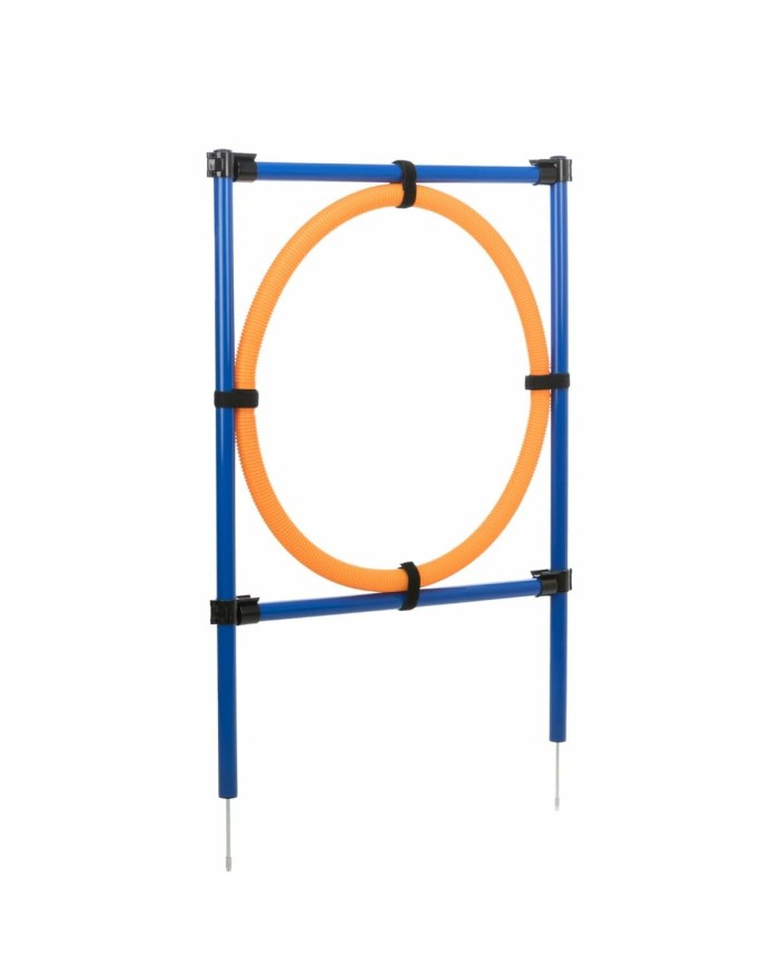 Giocattolo da addestramento Trixie