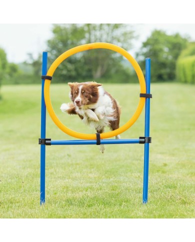 Giocattolo da addestramento Trixie Giocattolo da addestramento Trixie