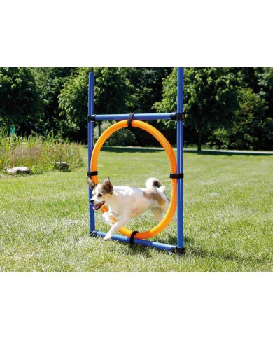 Giocattolo da addestramento Trixie