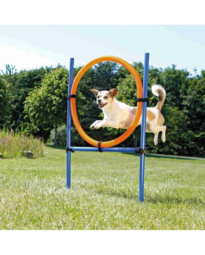 Giocattolo da addestramento Trixie