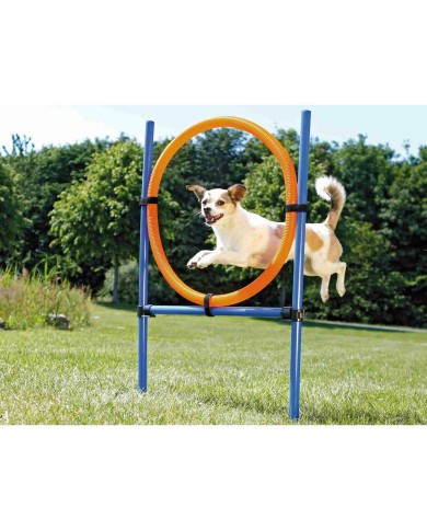 Giocattolo da addestramento Trixie