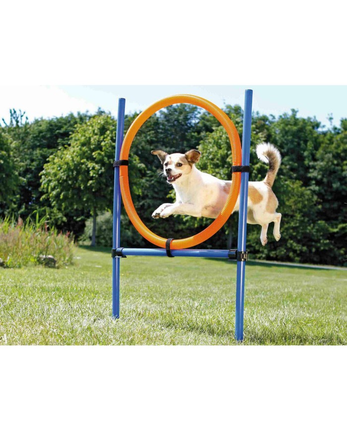 Giocattolo da addestramento Trixie