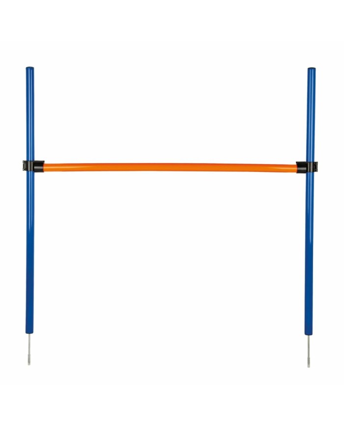 Giocattolo da addestramento Trixie Giocattolo da addestramento Trixie