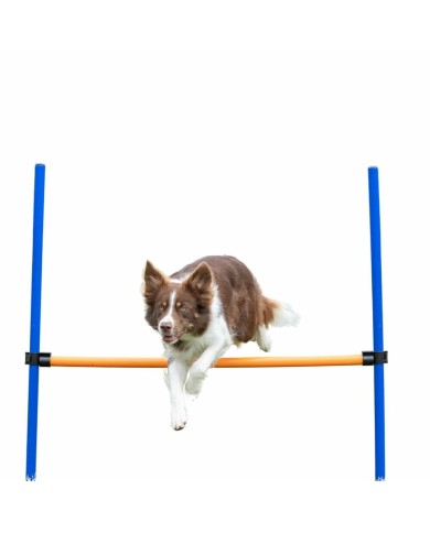 Giocattolo da addestramento Trixie Giocattolo da addestramento Trixie