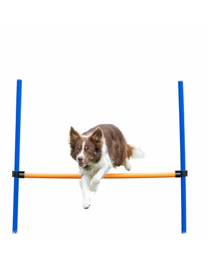 Giocattolo da addestramento Trixie Giocattolo da addestramento Trixie