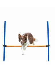 Giocattolo da addestramento Trixie Giocattolo da addestramento Trixie