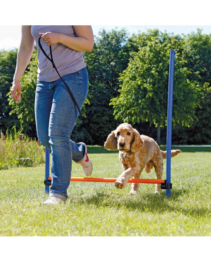 Giocattolo da addestramento Trixie Giocattolo da addestramento Trixie