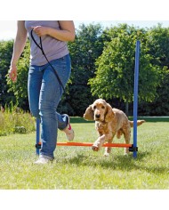 Giocattolo da addestramento Trixie Giocattolo da addestramento Trixie