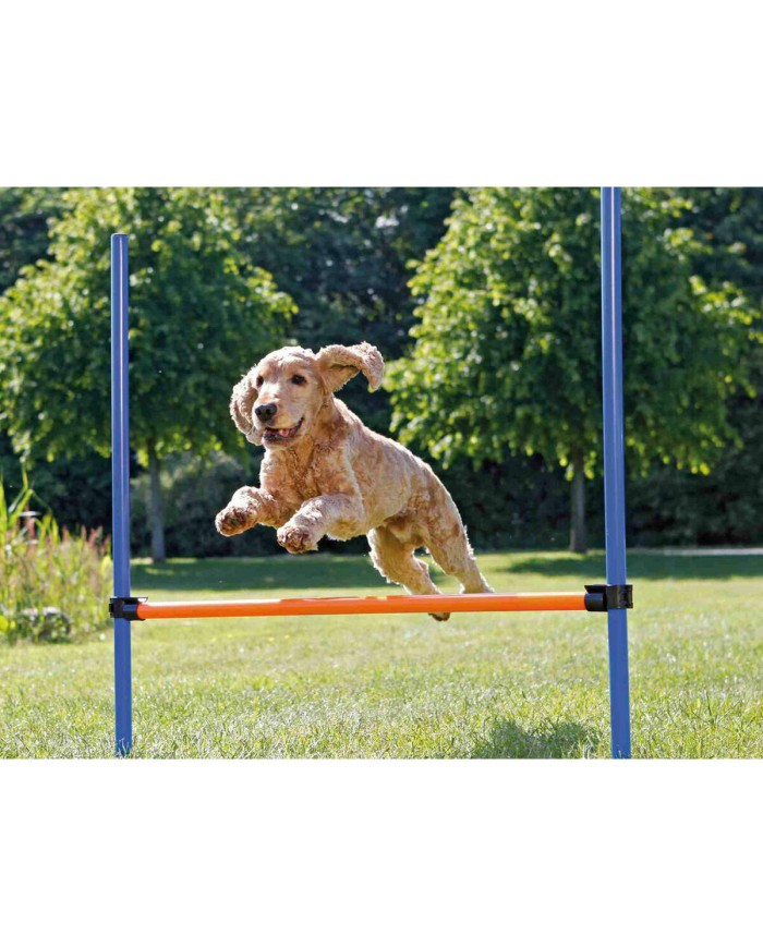 Giocattolo da addestramento Trixie Giocattolo da addestramento Trixie