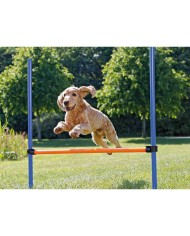 Giocattolo da addestramento Trixie Giocattolo da addestramento Trixie