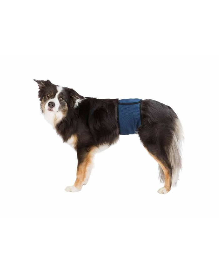 Cinghia Trixie Maschio Addome Cinghia Trixie Maschio Addome