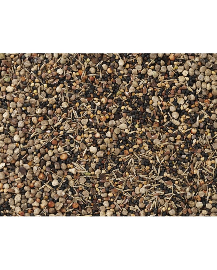 Mangime per uccelli Deli Nature Premium Mangime per uccelli Deli Nature Premium