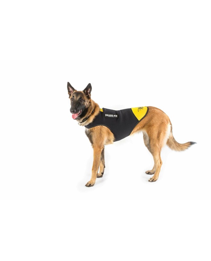 Imbracatura per Cani Julius K9 IDC L/XL 2