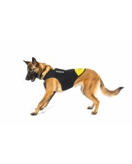 Imbracatura per Cani Julius K9 IDC L/XL 2