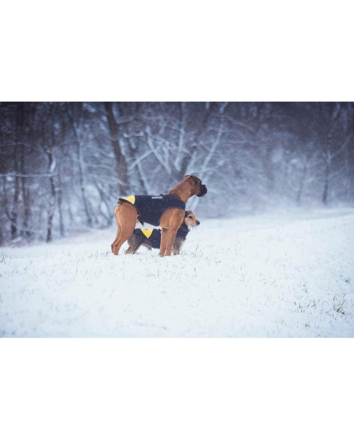 Imbracatura per Cani Julius K9 IDC L/XL 2