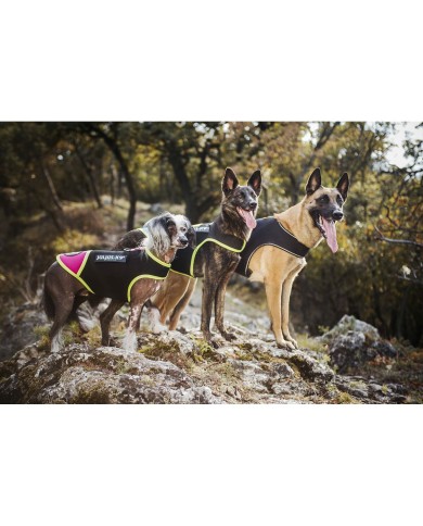 Imbracatura per Cani Julius K9 IDC L/XL 2