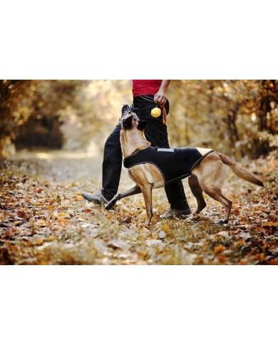 Imbracatura per Cani Julius K9 IDC L/XL 2