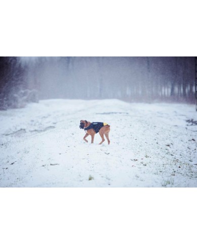 Imbracatura per Cani Julius K9 IDC L/XL 2