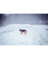 Imbracatura per Cani Julius K9 IDC L/XL 2