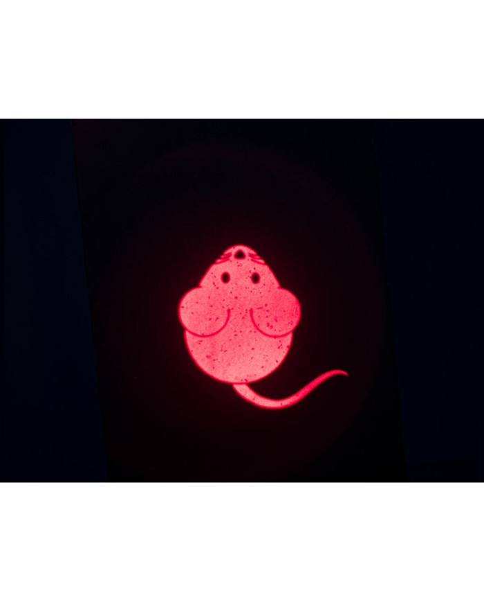 Puntatore Laser Trixie