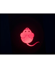 Puntatore Laser Trixie