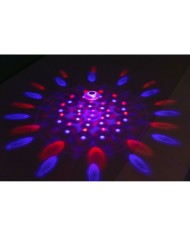 Luce Galleggiante a Energia Solare per Piscina Bestway Ø 14 cm (1 Unità) Luce Galleggiante a Energia Solare per Piscina Bestway Ø 14 cm (1 Unità)